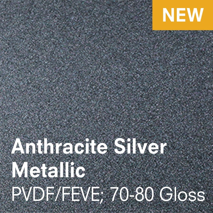Anthracite Silver Metallic (3.5 x 5.5)